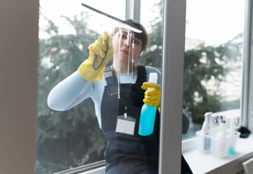 Nettoyage de vitres intérieures et extérieures à Pange
